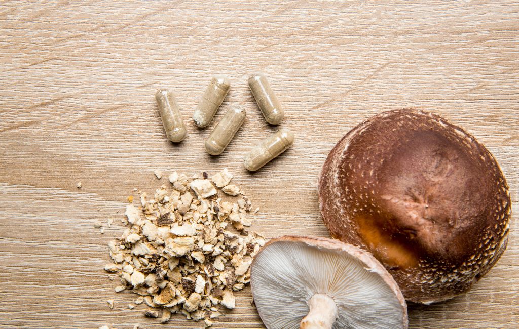 A Mushroom Blend Supplements for Whole-Body Harmony